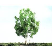 JTT Snow Gum Trees 102mm (2)